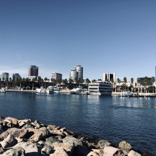 movyr Movers & Storage Specialists in Long Beach