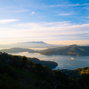 movyr Movers & Storage Specialists in Marin County