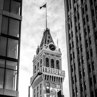 movyr Movers & Storage Specialists in Oakland & the East Bay